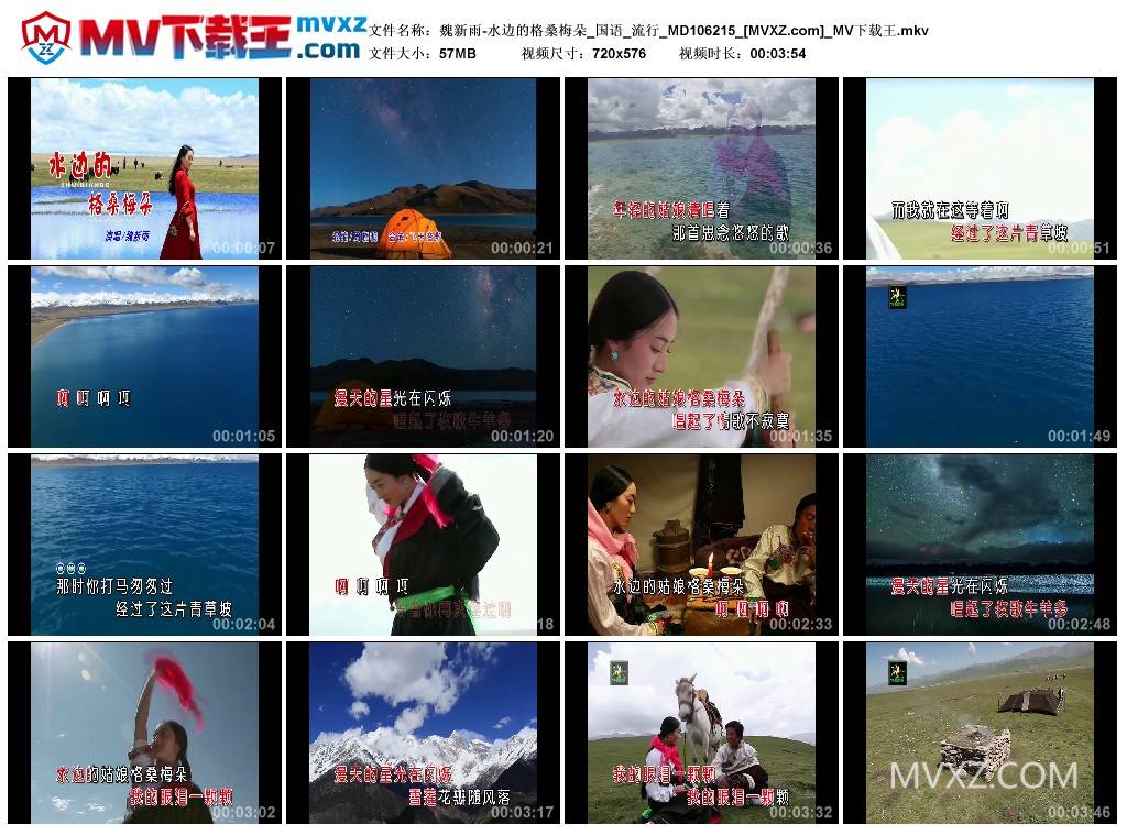 魏新雨-水边的格桑梅朵_国语_流行_MD106215